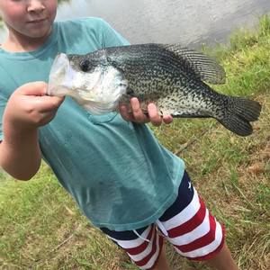 Meet your Posher, Banks